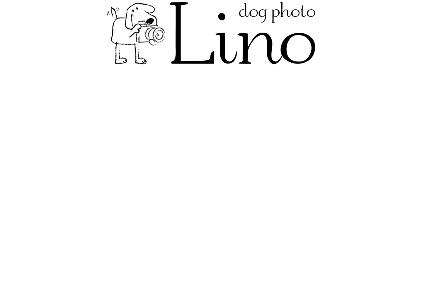 LinkIcon